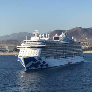 Meet your Posher, Joann